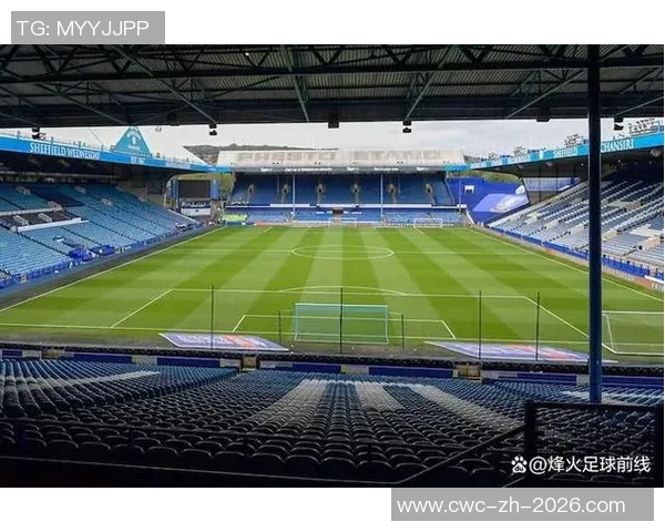 足球场上的悲剧时刻十大球员猝死事件回顾与反思